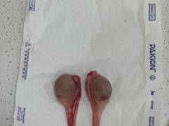 -初心动物医院