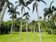 -中国科学院西双版纳热带植物园