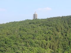 -原山国家森林公园