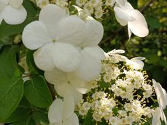 -九里河湿地公园