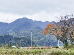 -塔川景区