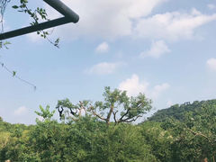 -宁波野生动物园