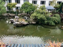 -苏苑饭店-中餐厅(长桥地区店)