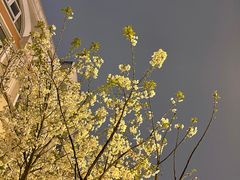 -Dal Cuore 达可芮冰淇淋(陕西北路店)