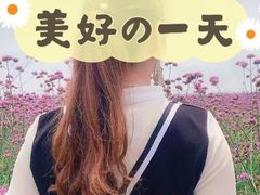 -大塘金香草谷