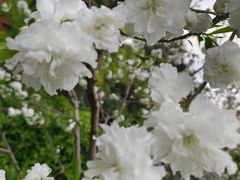 -趵突泉景区