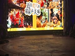 -广州长隆国际大马戏