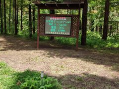 -黄海国家森林公园