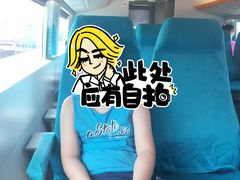 -龙阳路磁悬浮列车总站-停车场