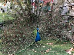 -汕尾铜鼎山旅游区