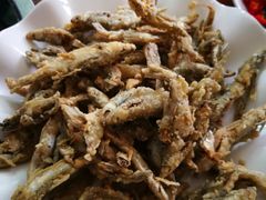 -翡翠老鸭店