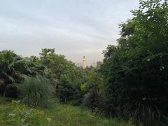 -金海湾滨江公园
