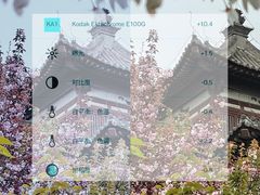 -西安青龙寺遗址景区