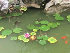 -苏州文旅花间堂·探花府酒店