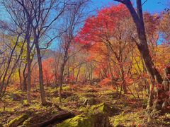 -本溪老边沟风景区
