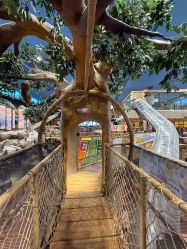 -卡通尼·Safari非洲探索乐园·生日会(金桥国际商业广场店)