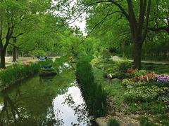 -上海共青森林公园