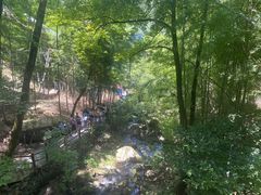 -藏龙百瀑风景区