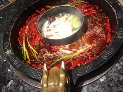 -蜀大侠火锅(总府路店)