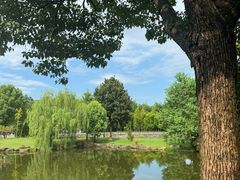 -兰亭风景区