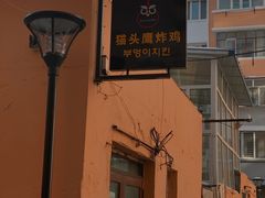 -猫头鹰炸鸡