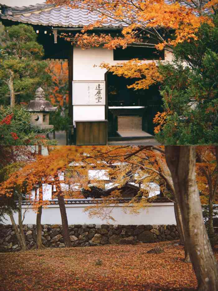 永观堂-"禅林寺是座位于日本京都府京都市左京区的寺.
