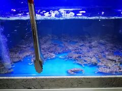 -一号码头蒸汽海鲜自助