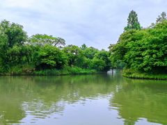 -西溪国家湿地公园