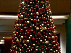 -成都凯宾斯基饭店