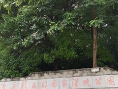 -重庆彩云湖湿地公园