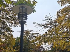 -三水森林公园