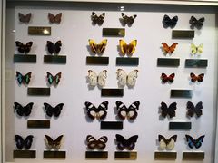 -上海昆虫博物馆