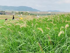 -光明小镇欢乐田园