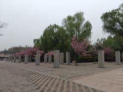 -唐城墙遗址公园