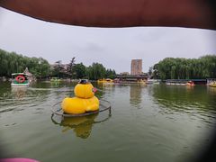 -团结湖公园