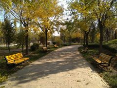 -武清南湖绿博园