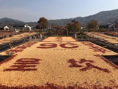 -环秀楼(黄山呈坎店)
