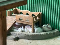 -杭州野生动物世界