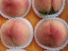 -老袁家蜜桃农场·阳山水蜜桃