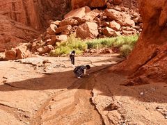 -天山神秘大峡谷