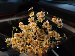 -小胖私厨状元宴·东北私房菜馆
