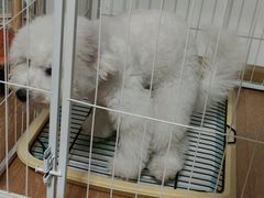 -科道动物医院·急重症中心(万达院)