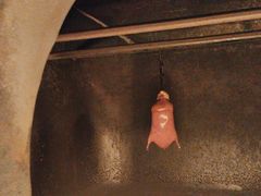 -京味斋·烤鸭·北京菜(安贞店)