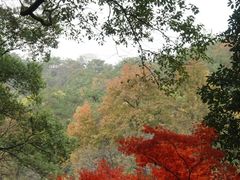 -岳麓山风景名胜区