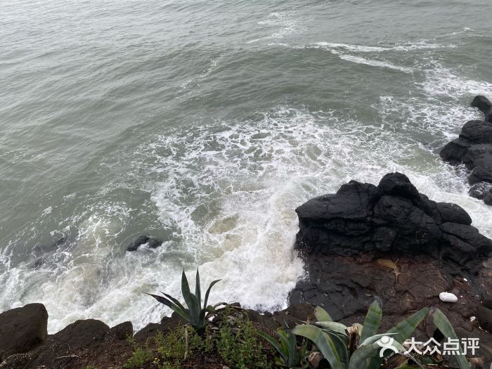 漳州滨海火山岛自然生态风景区图片