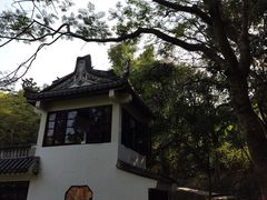 -深圳国际园林花卉博览园