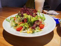 -森味薪火烧•烧鸟居酒屋•日本料理(望京店)