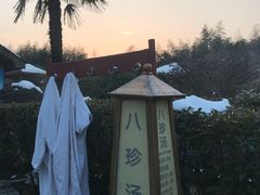 -金孔雀温泉旅游度假村