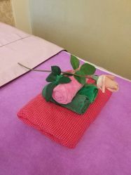 -悦芳庭美肤美体品牌集合店