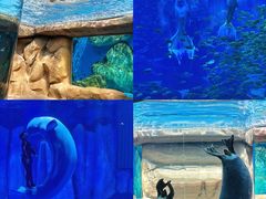 -长沙湘江欢乐雪域